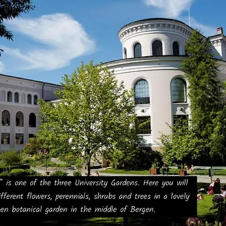 Spacious, 3 Bedroom House With Parking *