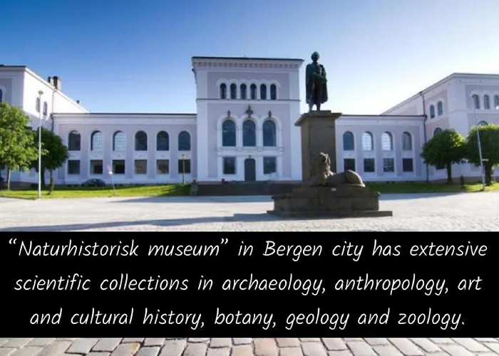 Apartament Spacious, 3 Bedroom House With Parking *